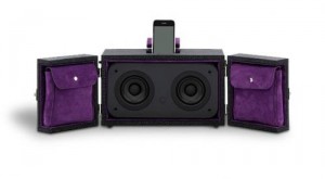 Pinel & Pinel iCase